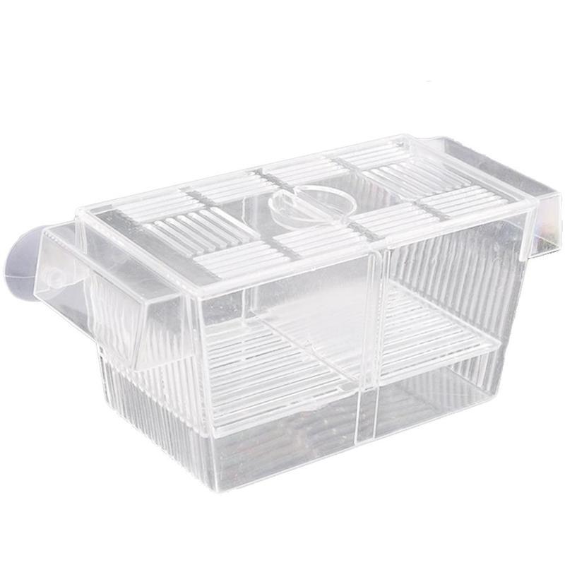 Fish Breeding Hatchery